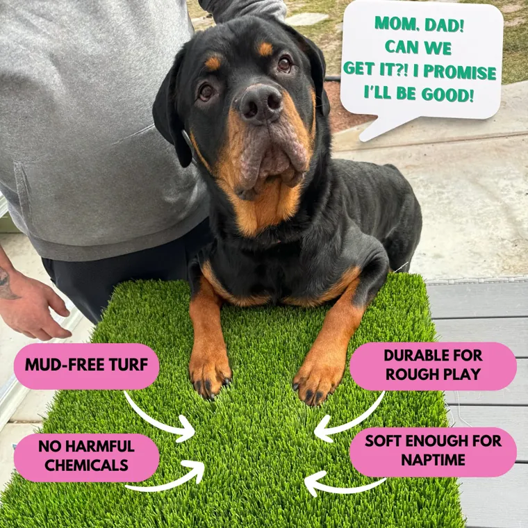 Big Bully Turf advertising static from the produced creative library.