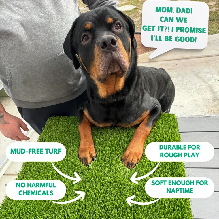 A second Big Bully Turf advertising static from the produced creative library.