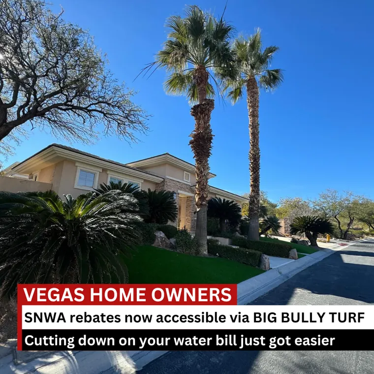 Big Bully Turf cash rebate advertising panel, third execution.